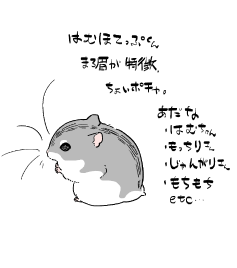 はむほてっぷくんたち=^・ω・^= 