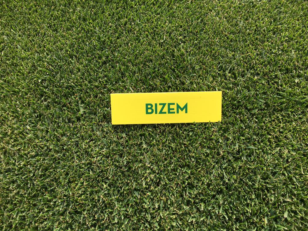 josepcirera's tweet photo. Best time for #tallfescues
#BIZEM with finest leaf texture.
#FESNOVA with highest density.
#TERRANO with spreading ability.
#FIRACES semidwarf.
#MERIDA with highest brown patch tolerance.
#THOR with highest tillering.
#GENIUS(RC4), #HONEYMOON (RHL2)coming soon with new traits https://t.co/5vaXSR1FEW