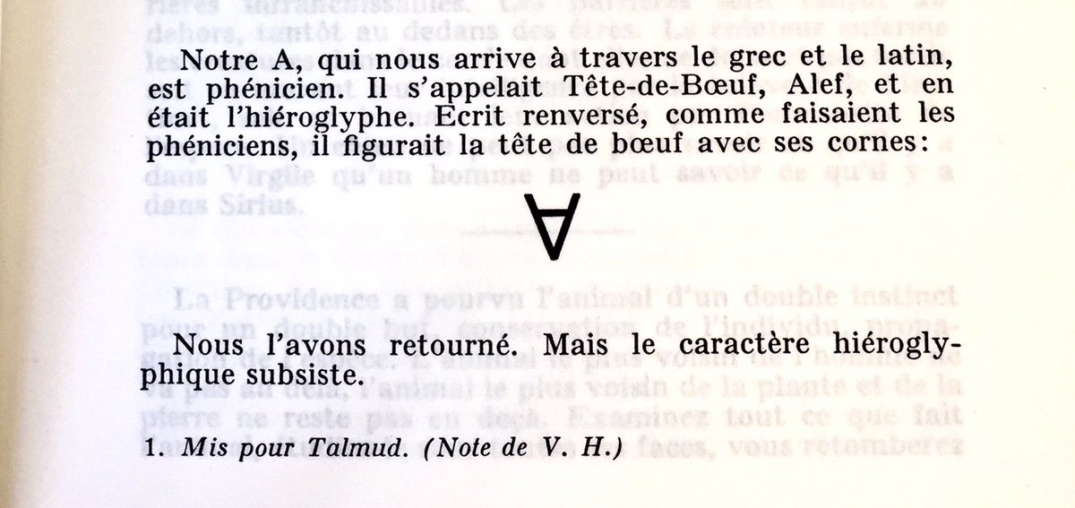 Dr. Orodru tweet media