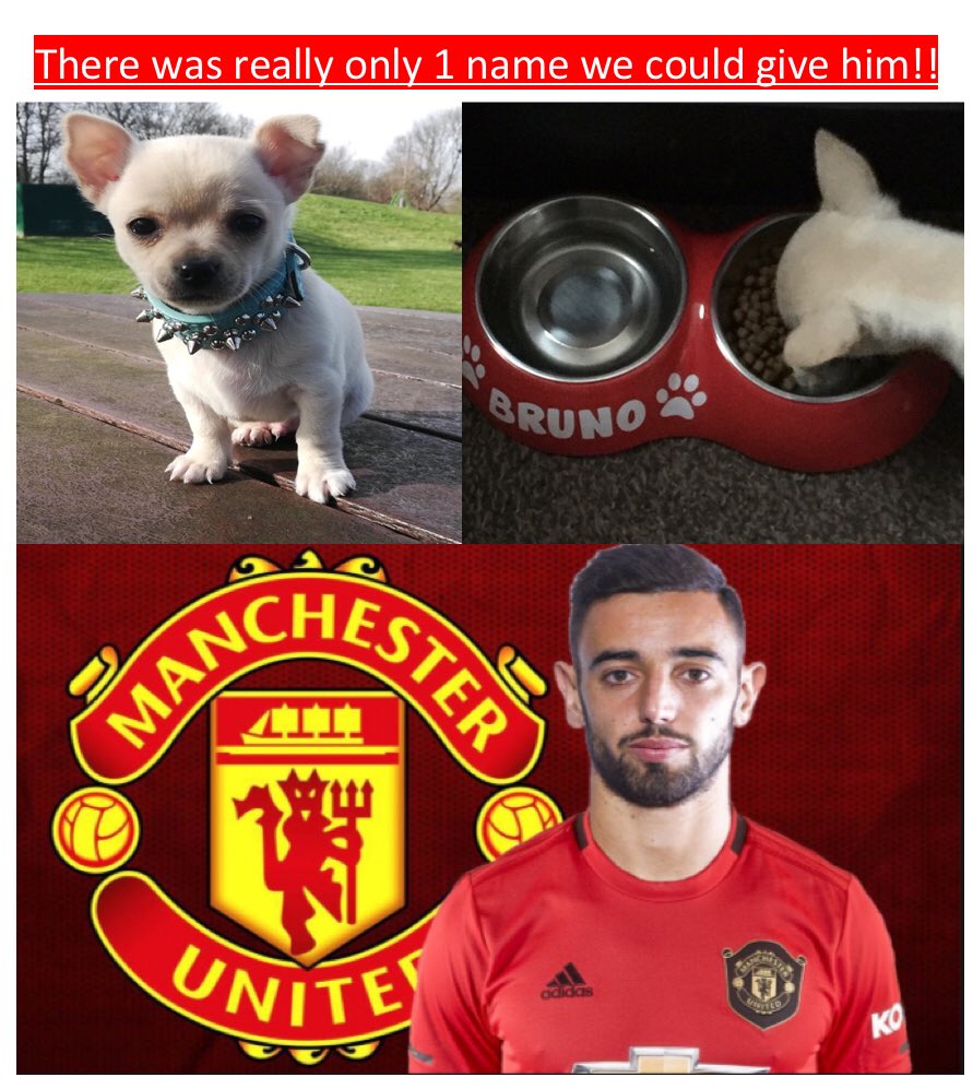 FieldAfc's tweet image. ⁦@ManUtd⁩ ⁦@B_Fernandes8⁩