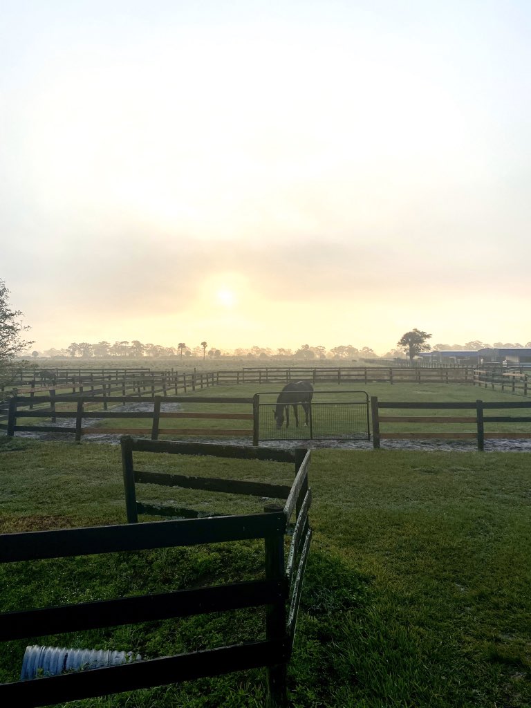 Riley Mott (@riley_mott) on Twitter photo Gotta love Payson Park. That’s a 2yo colt named Rock Sugar, by Frosted out of Tiz So Sweet. Third generation Mott trainee for <a href="/Kinsman_Farm/">Kinsman Farm</a> <a href="/Rob_Molloy26/">Robert Molloy</a> Gotta love Payson Park. That’s a 2yo colt named Rock Sugar, by Frosted out of Tiz So Sweet. Third generation Mott trainee for <a href="/Kinsman_Farm/">Kinsman Farm</a> <a href="/Rob_Molloy26/">Robert Molloy</a>