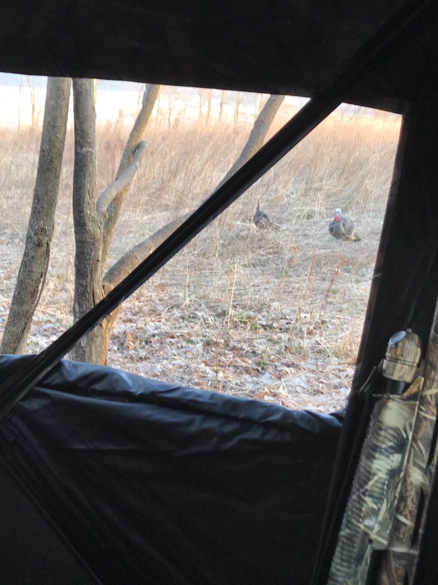 Opening day!  Great morning to be in the woods.