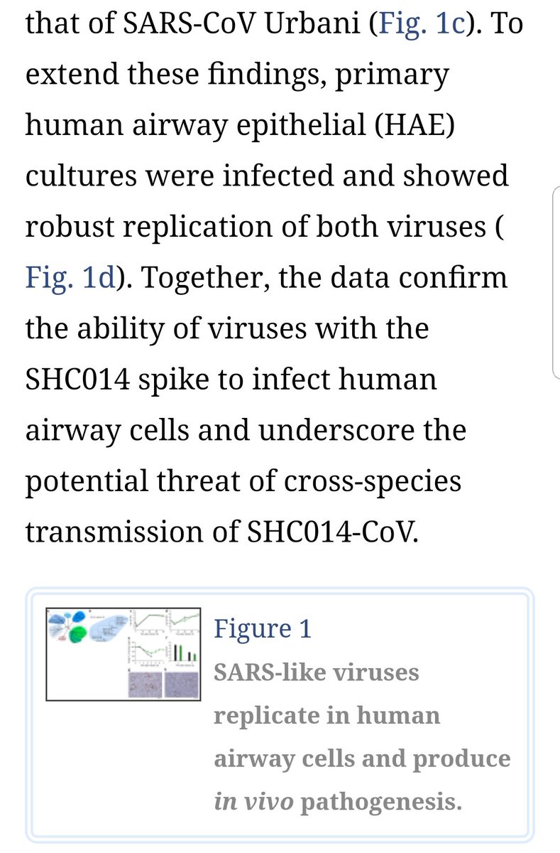 FoolsMultiply's tweet photo. We were warned of the dangers in 2016....👇
#Covid_19 #virus  #RsSHCO14 #ChimericVirus #ACE2 #SARS https://t.co/YQ4NHKuiXO