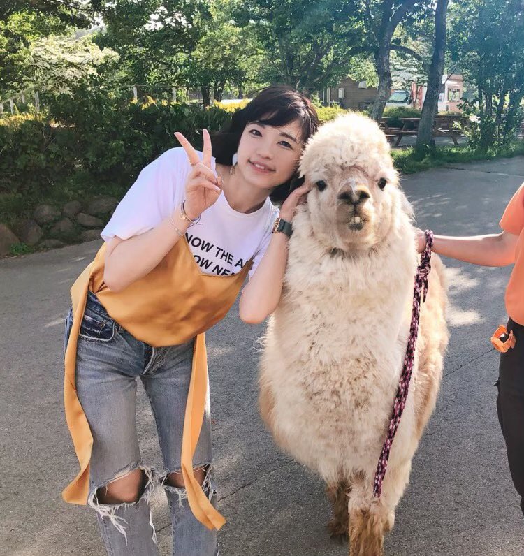 動物の画像探してたら… いろいろでてきました。なつかしい^ ^ さんぽ中