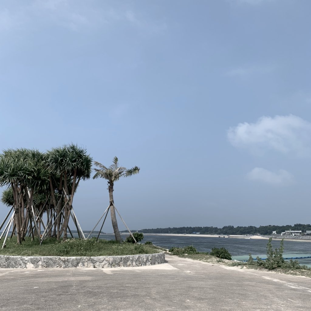 去年の夏は沖縄行ってたのになあ🥱

今年ももしコロナが落ち着いた時のために
できる限りお金は貯めとかんと
なにもできんよな〜🤧🤧