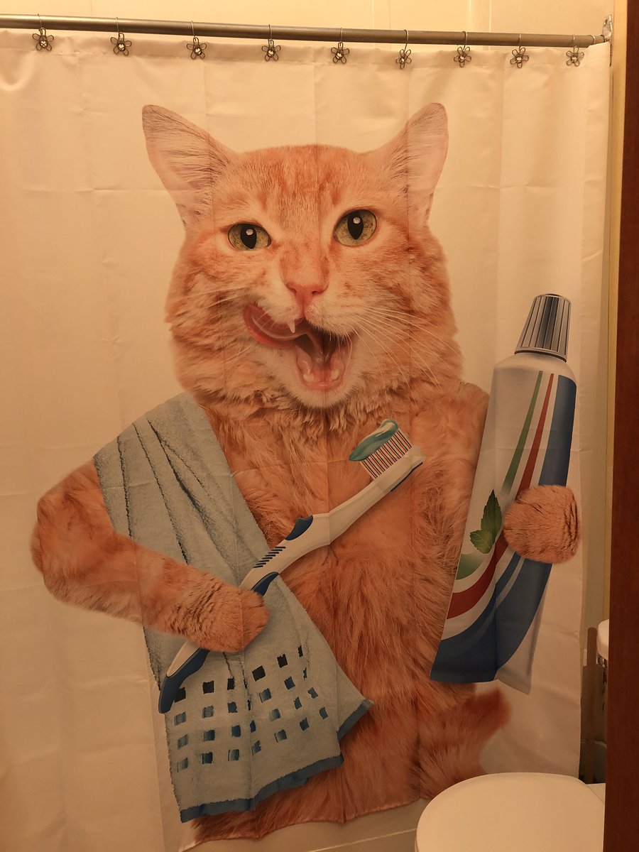 Susan Almon tweet media