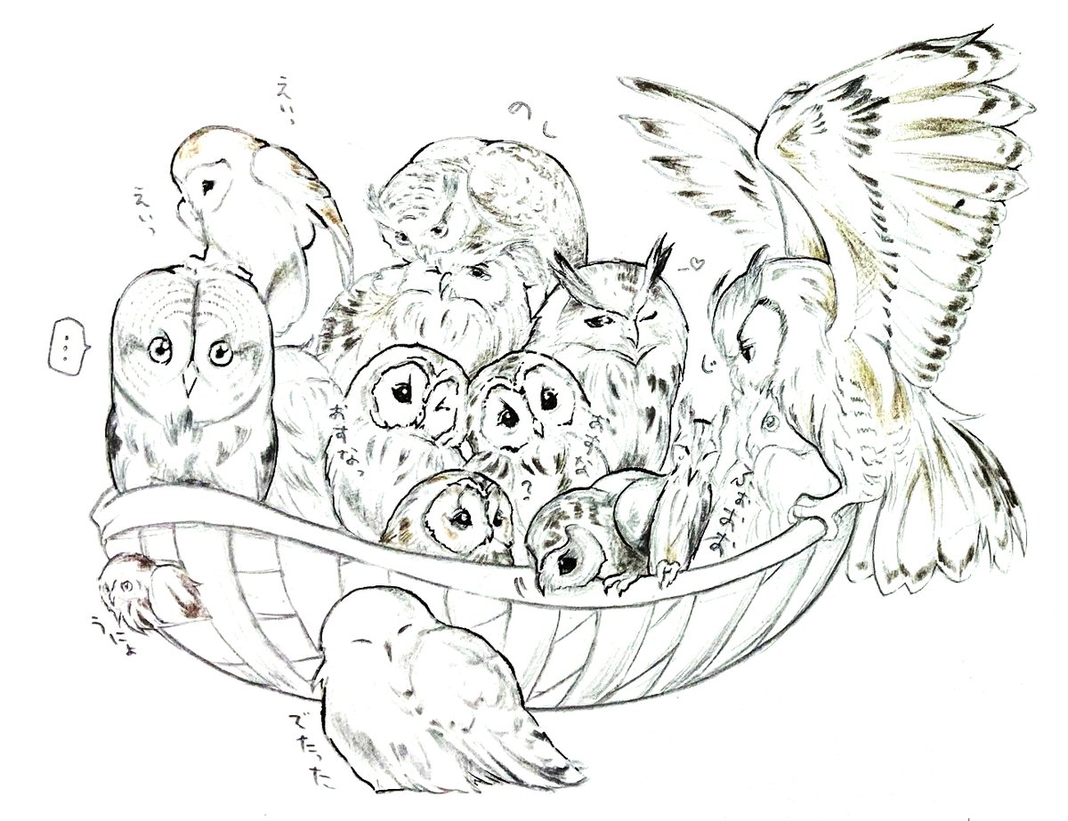 おうちで暇してるあなた、フクロウの塗り絵でもいかが〜🦉? 