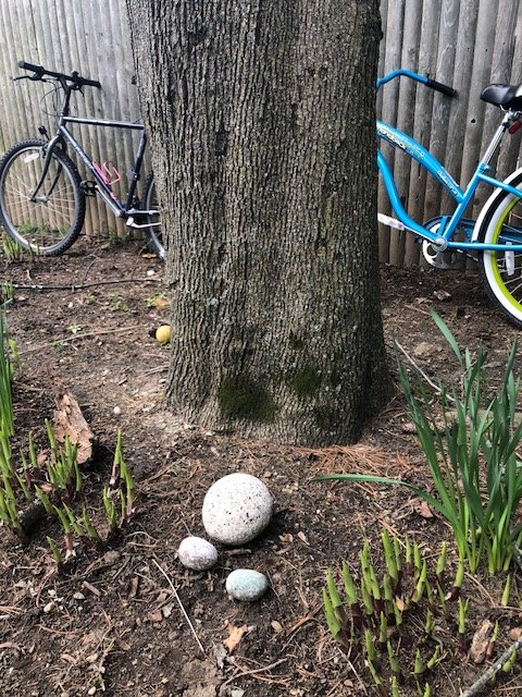murphycath567's tweet photo. Next week we are throwing a rock party for our K/1 ELLs @FiskeSchool. Students will decorate their favorite rock and share their rock story in class. This kindness rock was a gift from @NotesByMrsC and reminds me that we are all in this together. #joyinlearning @lexingtonsuper https://t.co/ZiQEMNiqhB