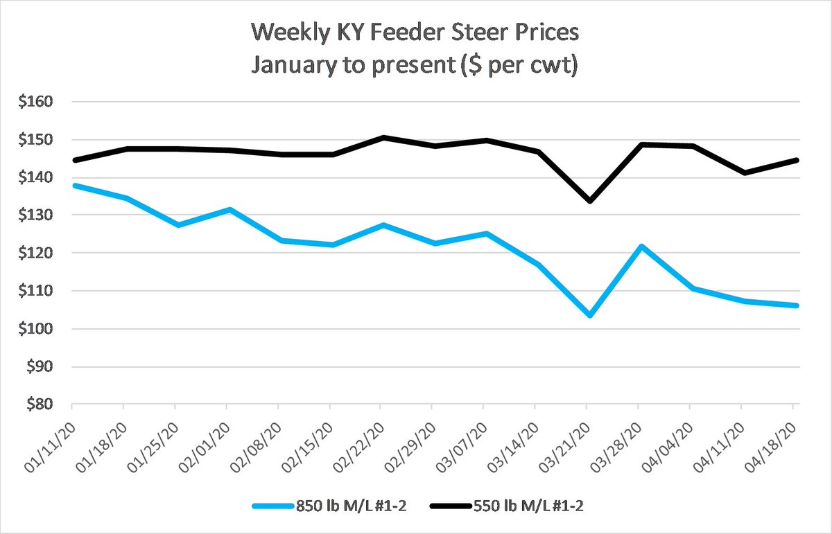 KYCattleEcon's tweet photo. Probably the steadiest cattle price week in KY since early March.  Heavy feeders dropped $1 per cwt, calves gained around $3 per cwt, and cull cows increased nearly $6 per cwt. Source: @USDA_AMS. @KYCattlemen @UKYAgEcon #KYCattleMarkets https://t.co/YdCF5paA3o