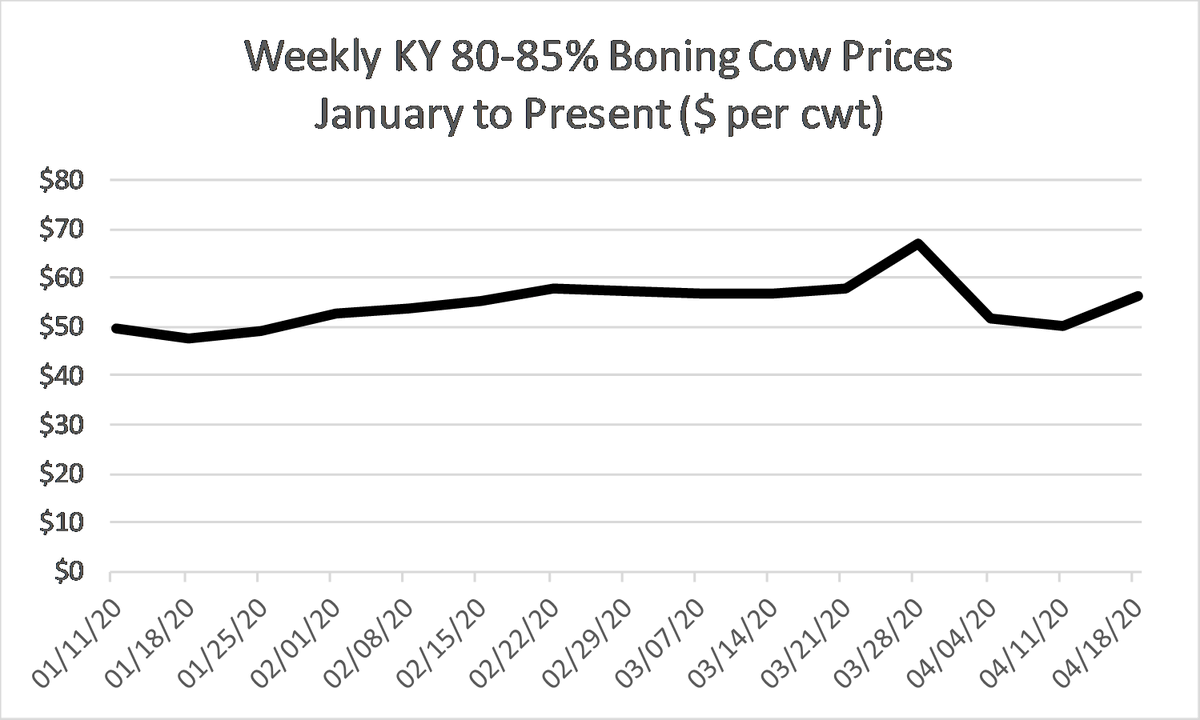 KYCattleEcon's tweet photo. Probably the steadiest cattle price week in KY since early March.  Heavy feeders dropped $1 per cwt, calves gained around $3 per cwt, and cull cows increased nearly $6 per cwt. Source: @USDA_AMS. @KYCattlemen @UKYAgEcon #KYCattleMarkets https://t.co/YdCF5paA3o