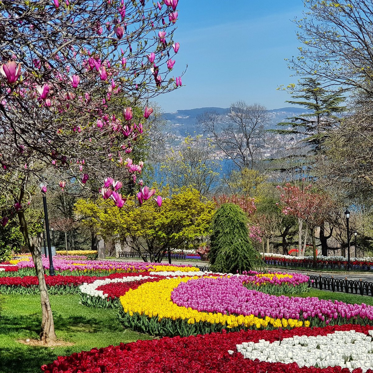 Nisan 2020
#tulips #tulip #lale#emirgan#istanbul