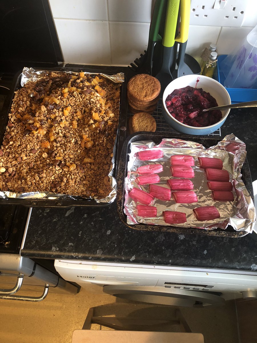 Roasted rhubarb, granola , ginger nut biscuits, steewtef fruit made today.