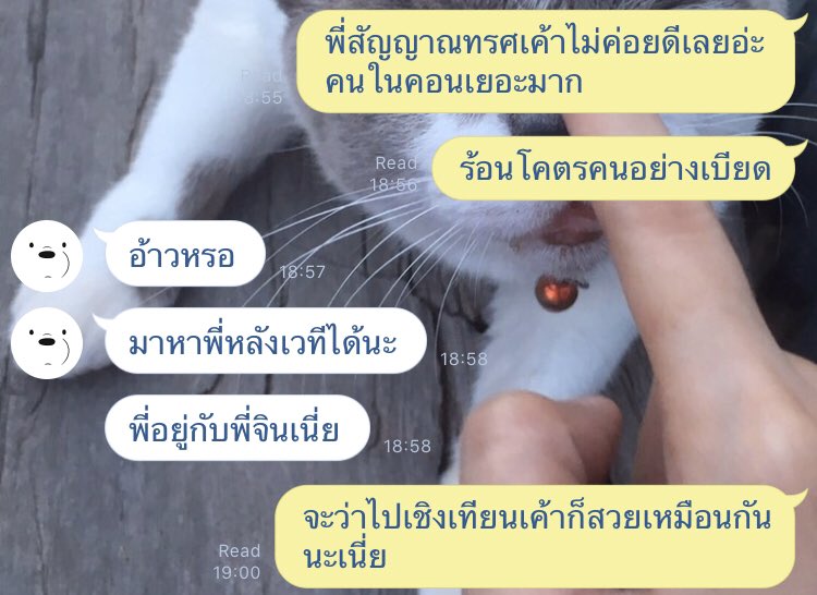 jerdjaxjk's tweet photo. ความสัมพันธ์ที่โบ๊ะบ๊ะ @Errezionx https://t.co/we8zjEQAME