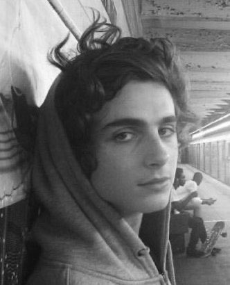timmychlamyd1a's tweet photo. timothée chalamet as cats; a thread https://t.co/t0BFCcc3PD
