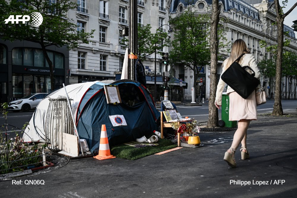 afpfr tweet picture
