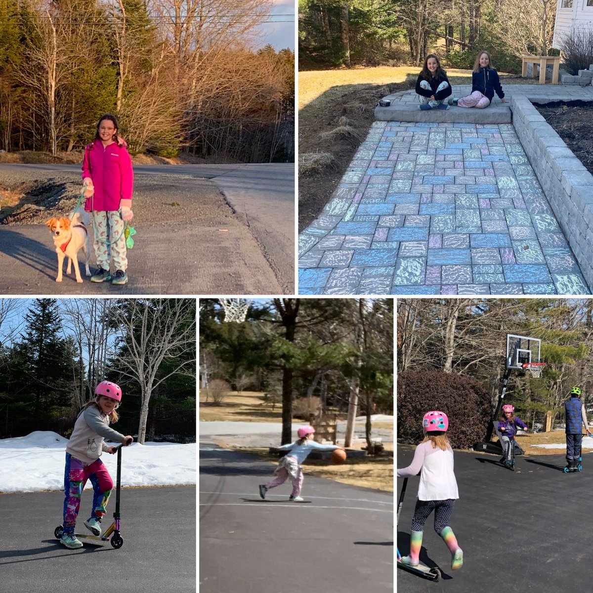 SarahInHalifax's tweet photo. @Kingswood2 These days... bikes, basketball, chalk and scooters tend to be at the top of our list! And of course... long walks with the doggo 🐶🏀🛴🚲 #keepingbusyathome https://t.co/vZDSLSw6fq