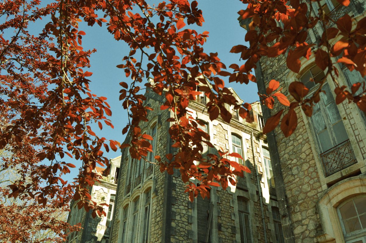 GoCaldas tweet media