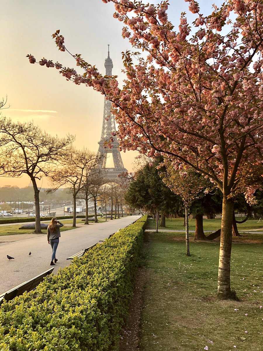 One spring ago in Paris 🇫🇷🌸 #blossoms
