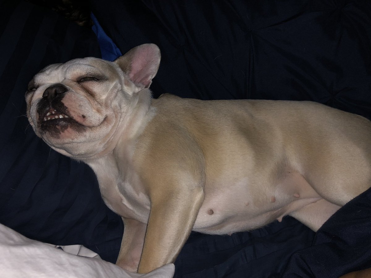 James Craigmyle tweet media