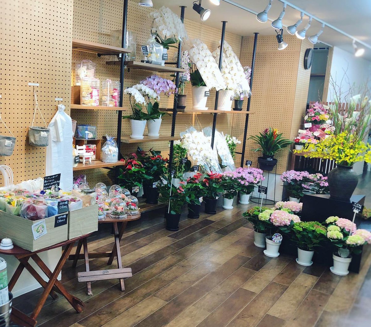 黒沢生花店 4 15に新店舗がオープンしました 店内写真やっと撮れました こんな時こそ生活にお花を いっぱい揃えてお待ちしております 尼崎市 立花駅 立花市場 花屋 黒沢生花店 移転 立花商店街 新たなスタート 新店舗オープン 店内写真