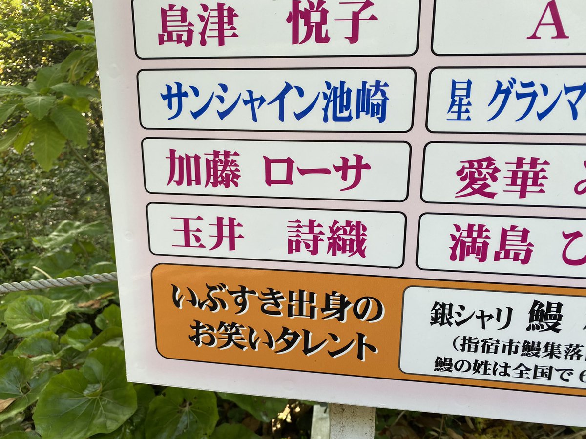 ニューカレドニアっち tweet media