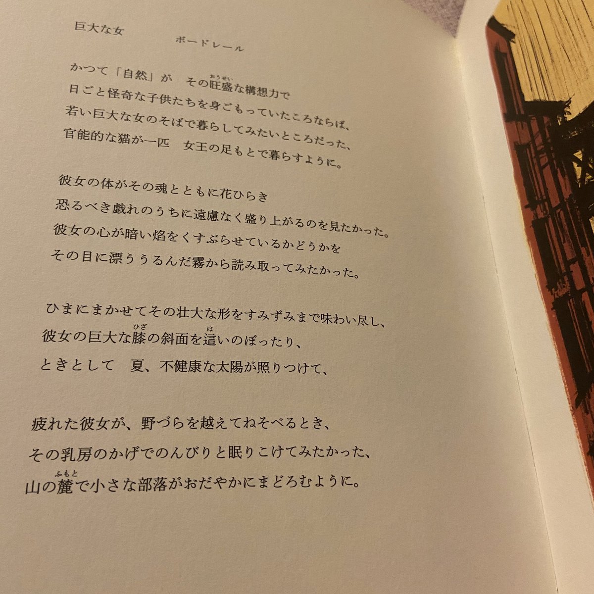 梅本 曜子 Yoko Umemoto