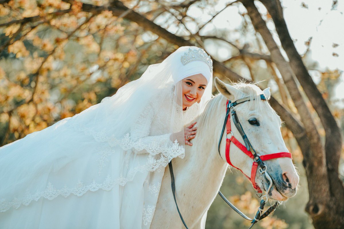 abdullah alp üzüm (@uzumalp) on Twitter photo 