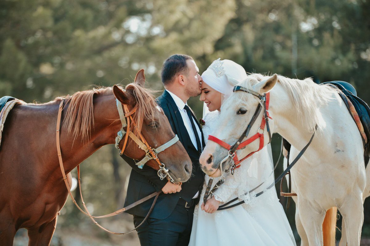 abdullah alp üzüm (@uzumalp) on Twitter photo 