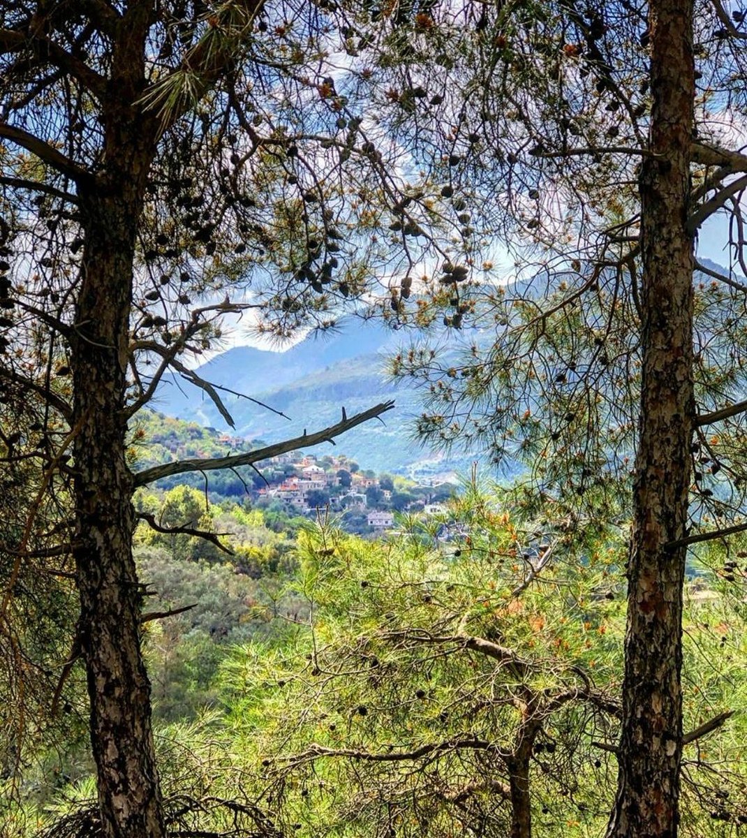 Photo credit @najwa_najm1 🏡
#liveloveramliyeh #ramliyeh #livelovelebanon #livelovenature #lebanonnature #ramlieh #beautifuldestinations