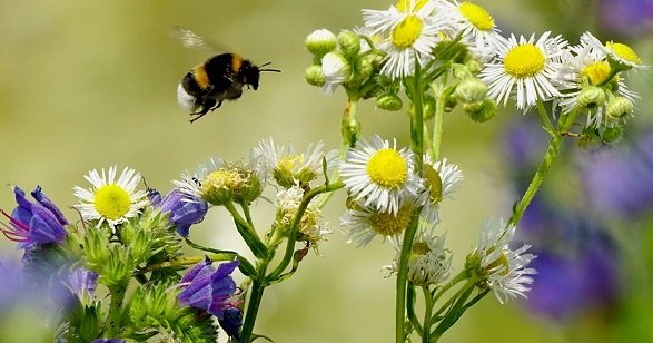 Victoria tweet media