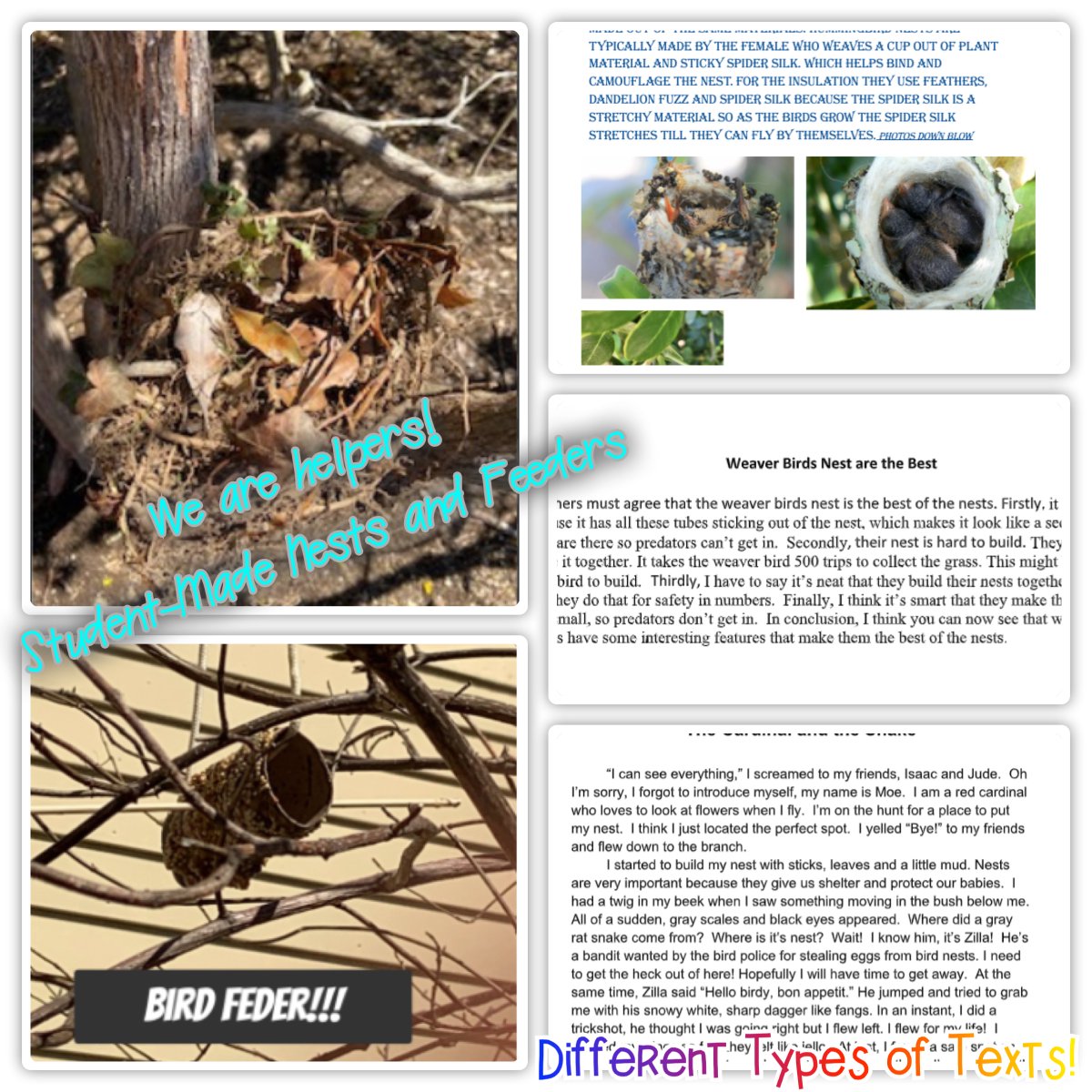 Ms. Fennelly tweet media