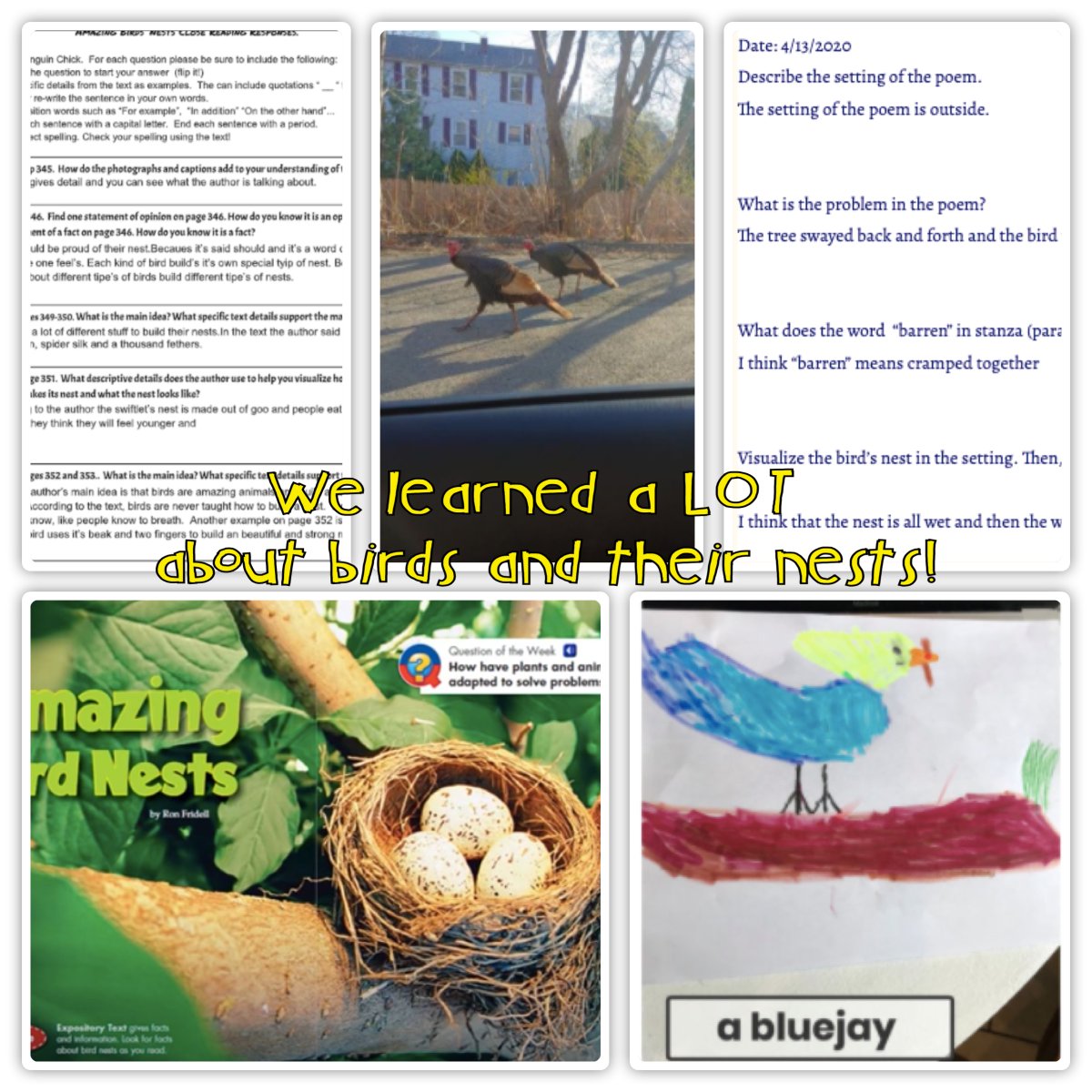 Ms. Fennelly tweet media