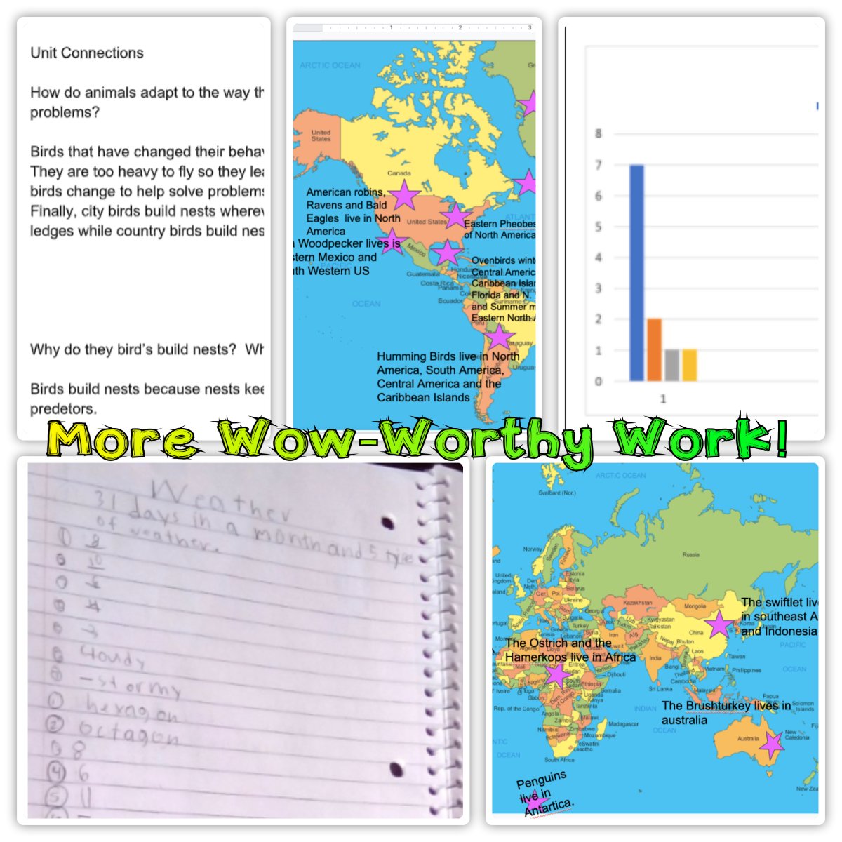 Ms. Fennelly tweet media