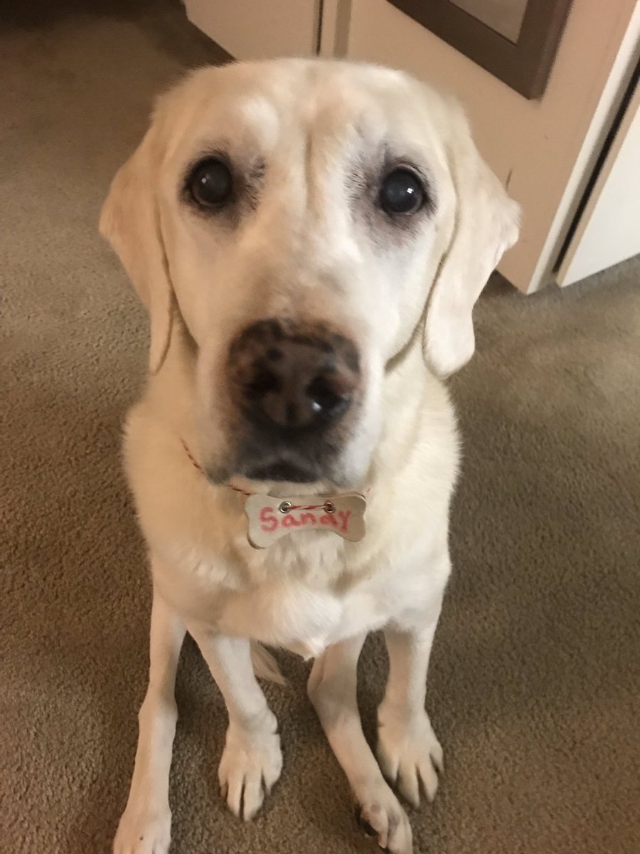 Iam Switters tweet media