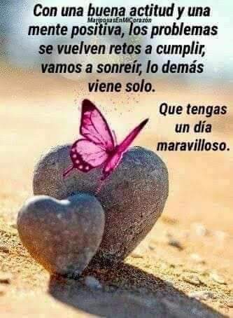 omer_bado's tweet photo. Asi debe ser 😊 https://t.co/CPGVFtBa7r