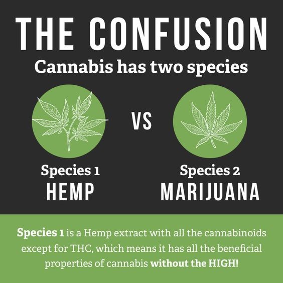 CanyonHempCo's tweet photo. Know the difference!
#cbdfacts https://t.co/Zch9h7yPU1