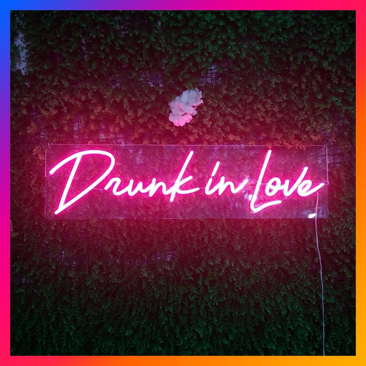 LEDSpecialistUK's tweet photo. Bringing the Neon theme to you this week!
Give a room some character with a bespoke design! 

For more information contact our friendly sales team on 0118 950 7125 

#neons 
#ledneons 
#neonsign
#interiorinspo 
#wedding 
#weddingplanning 
#weddingdesign
#partyinspo 
#party https://t.co/PGb0vUtCgW