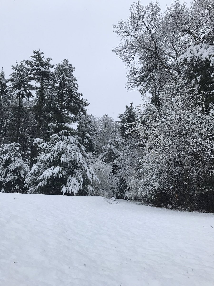 Steven Davidson tweet media