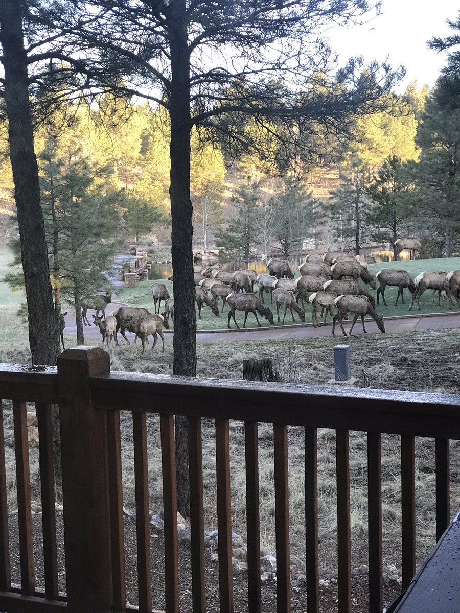 MollyWest13's tweet photo. Nice wake up view today! https://t.co/maCTlKt7Xs