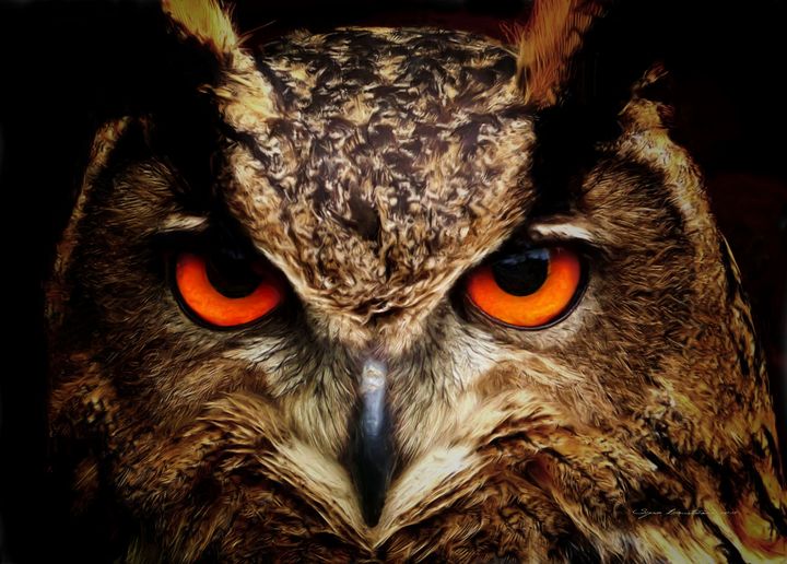 Featured Art of the Day: "Birds - Owls - Wisdom". Buy it at: ArtPal.com/sipo?i=115906-…