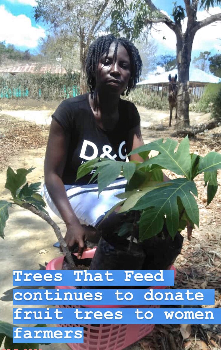TreesThatFeed's tweet photo. https://t.co/rNlBOeCjPA