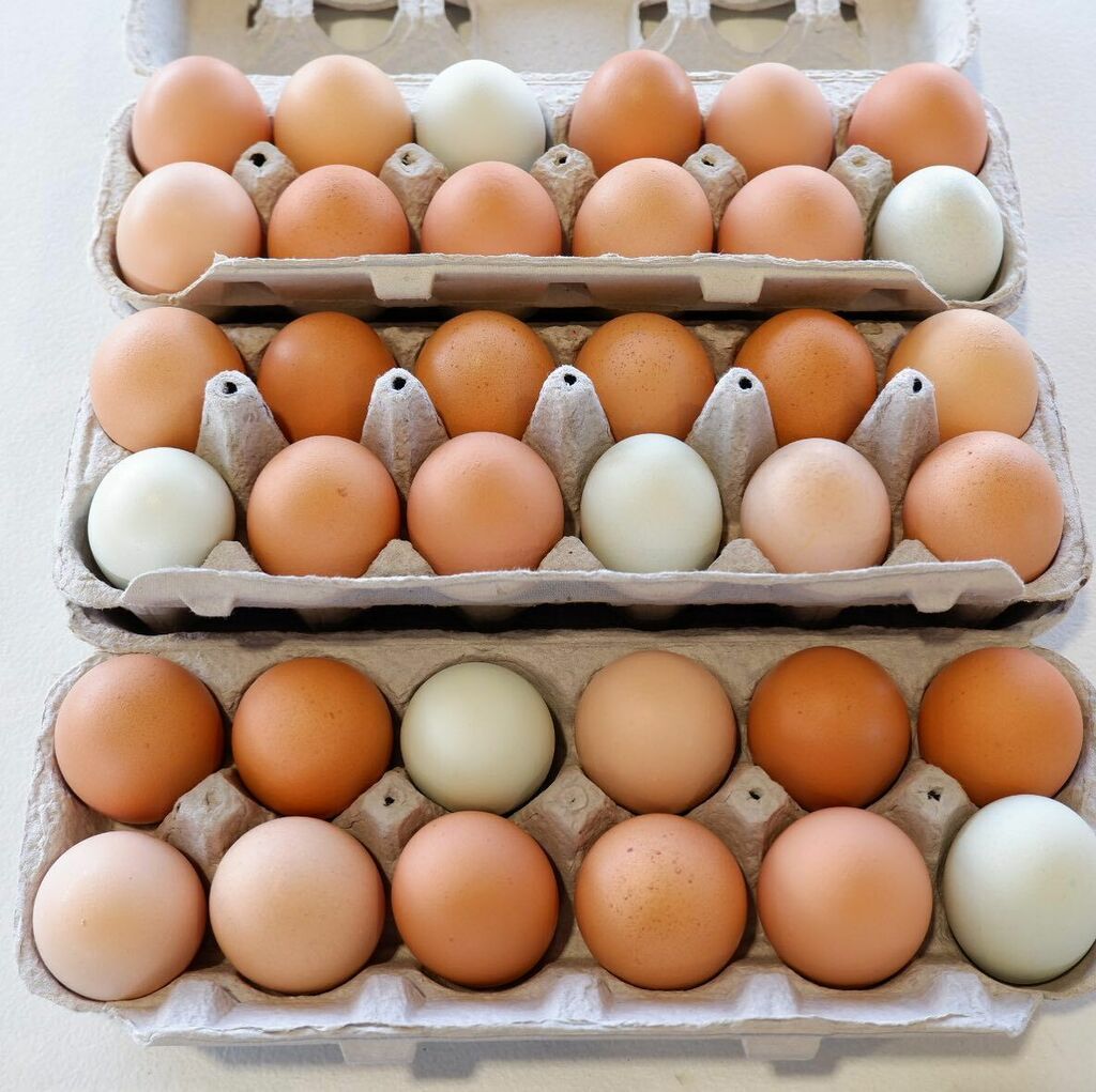 comofarmers's tweet photo. Imagine all the scrumptious breakfast options you could make after visiting CFM! 🍳 Our vendors are proud to feed your families. Thank you for making every Saturday morning a CFM morning!#werehereforyou #thanksforrootingforus #eggcellent #breakfast #c… https://t.co/fpV68f4Rsm https://t.co/NzSF5FYa3Y