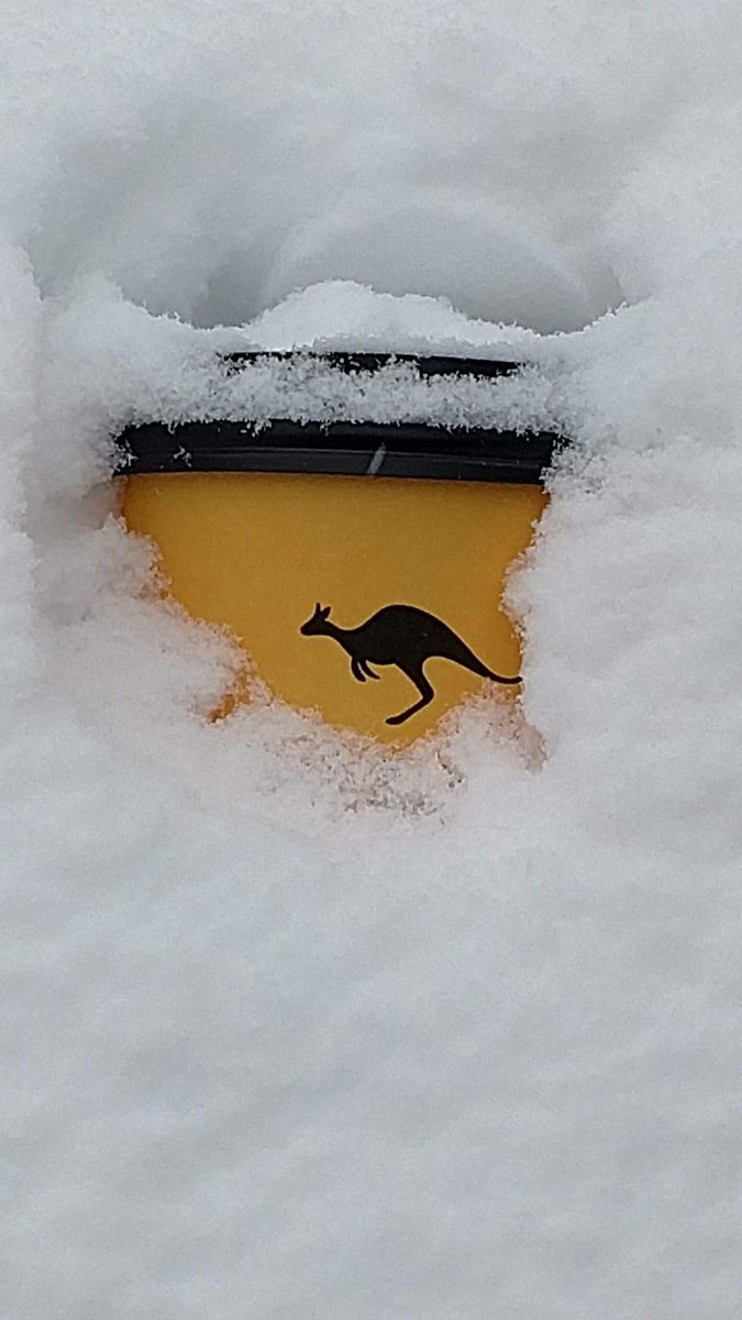 Perfect day for a warm latte. Lower Mills is open until 2pm today. We will be closed tmrw 4/19/20. Come get a bag of freshly roasted beans today to enjoy at home tmrw.