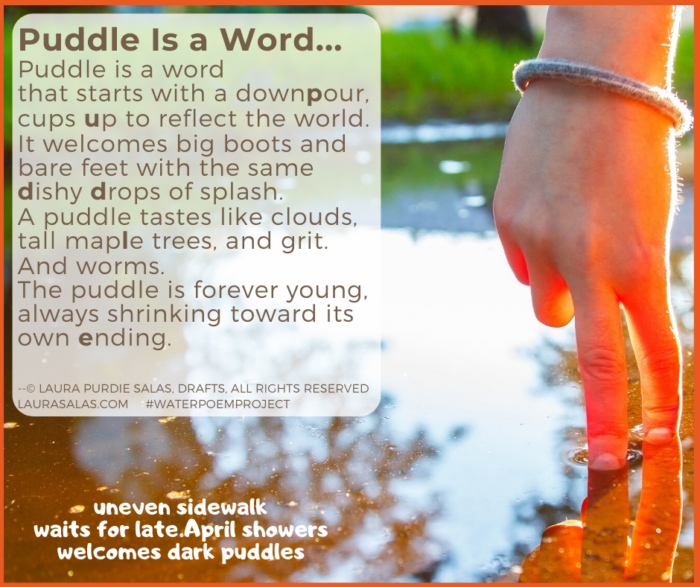 LauraPSalas's tweet photo. RT @LauraPSalas: Day 18: Puddle Is a Word (#NationalPoetryMonth) @laurashovan @nikkigrimes9 #poetryprompt https://t.co/tar9w5UfgO https://t.co/hJgXR1crXI #waterpoemproject