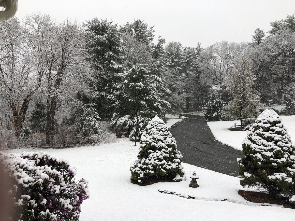 Should have been Marathon Weekend’s 10,000 person 5K in Boston, plus urban miles and kid relays.  It snowed all night. THIS would have been fun—a bit goofy, but fun