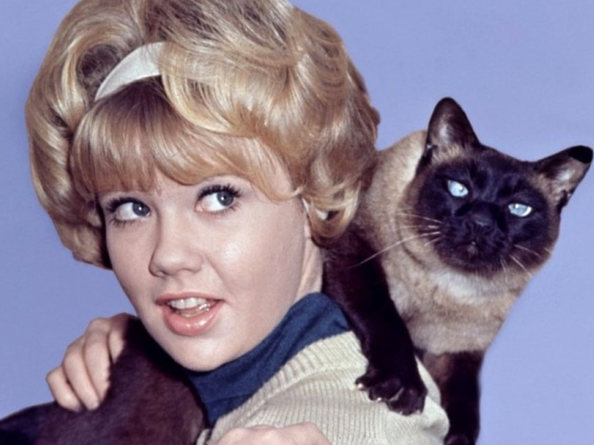 Happy birthday Hayley Mills 