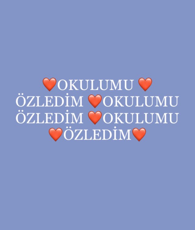 Refika 💙 Aksoy (@refika_aksoy) on Twitter photo 