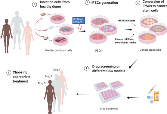 BiotechArabic's tweet photo. #Cancer_stem_cell generation by silenced MAPK enhancing PI3K/AKT signaling.
@Masaharu_Seno #seno_lab
@cancerscnews @ESC_iPSC_News @iPSCellNews
https://t.co/GQdXU1tkRR https://t.co/1l8tA5pgXl