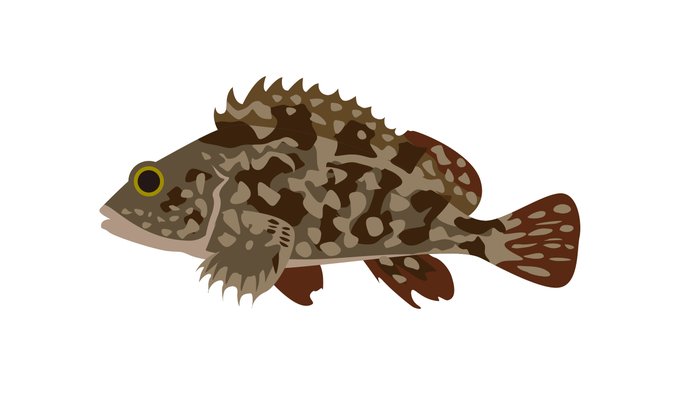 海の仲間のtwitterイラスト検索結果 海の仲間のtwitterイラスト検索結果