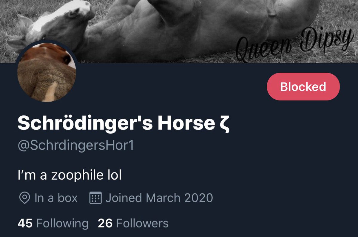 Evered_Moore's tweet photo. Schrodinger Cat, also the same guy as dog and horse, just admitted that had sex with an animal. He just admitted a crime he committed. https://t.co/x3gaUEtxI4